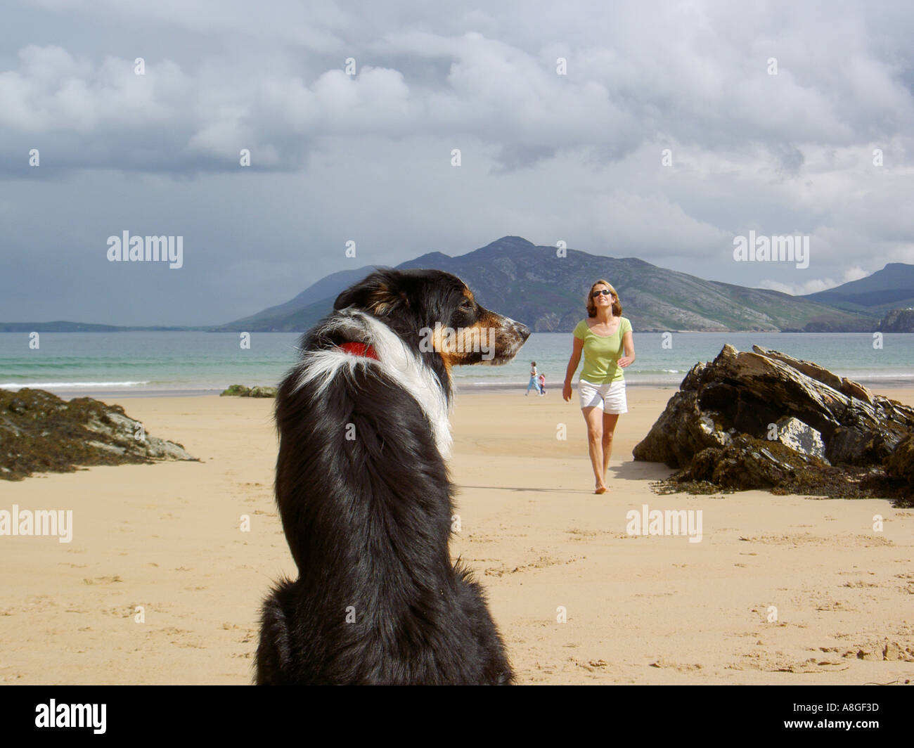 Border collie sheepdog sitting on beach with young woman walking at Fanad Head County Donegal Ireland Stock Photo