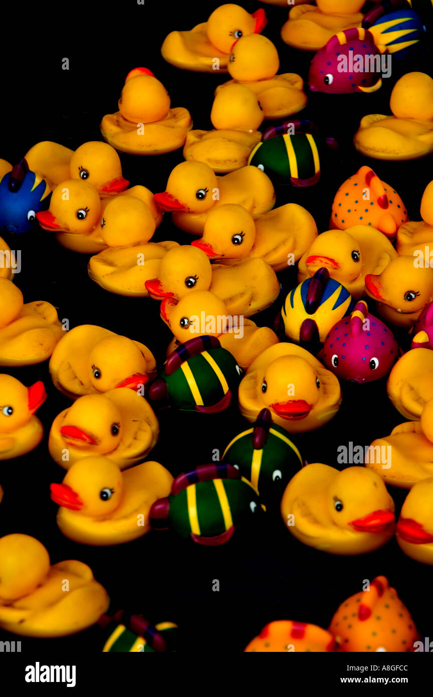 Carnival midway game rubber ducks Stock Photo Alamy
