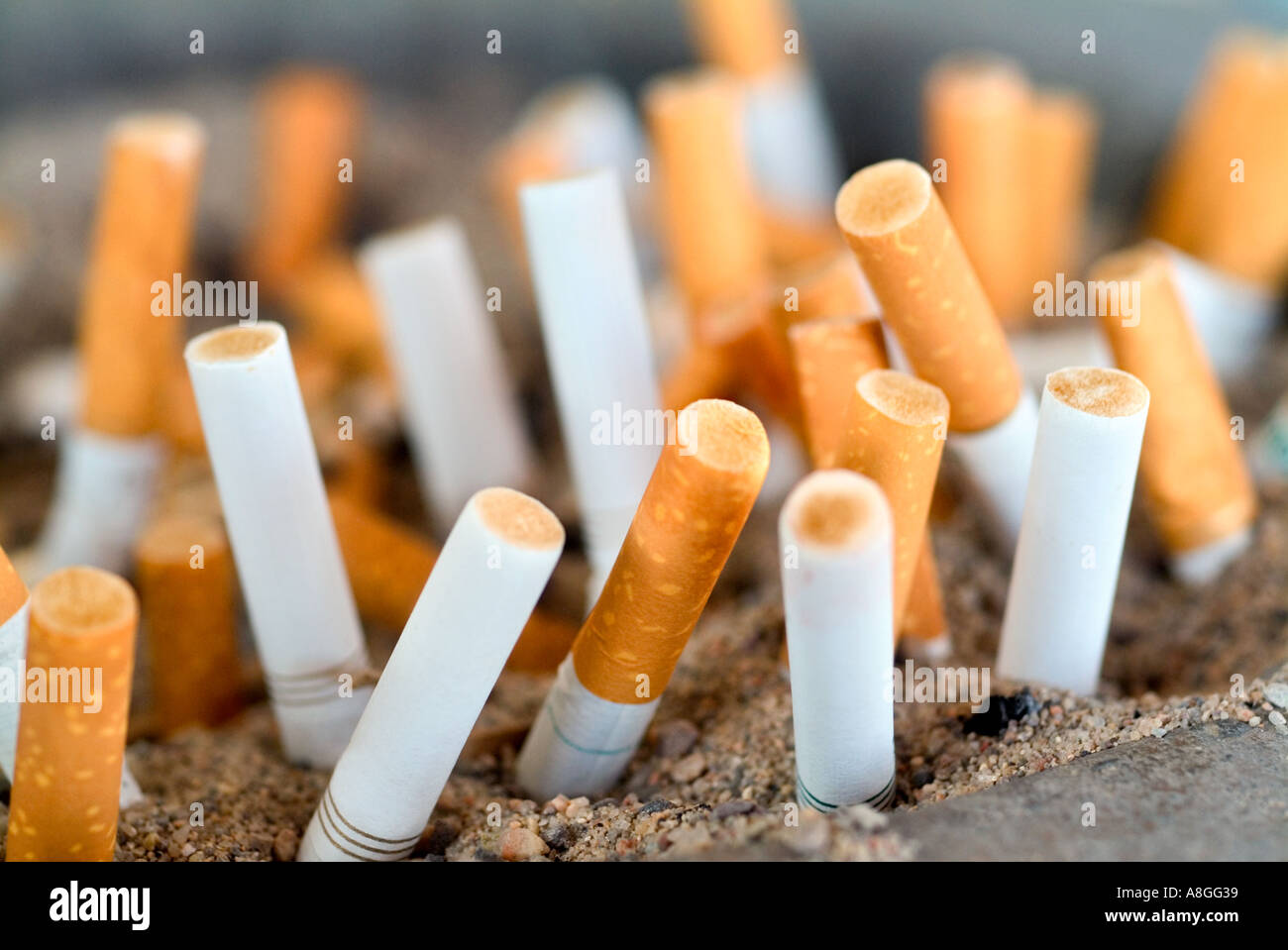 Cigarettes in large ashtray Stock Photo