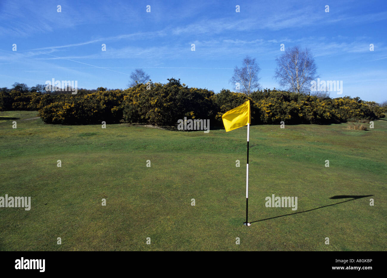 Golf Course At Beccles Common in Suffolk Uk Stock Photo Alamy