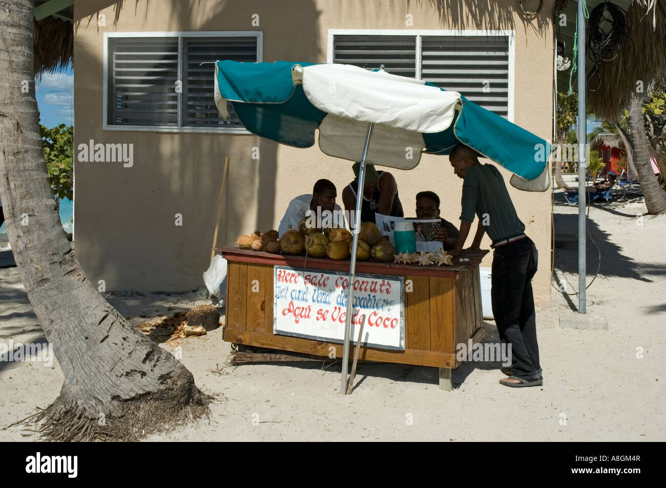 Dominican stallholder selling coconut drinks, Catalina Island, Dominican Republic Stock Photo