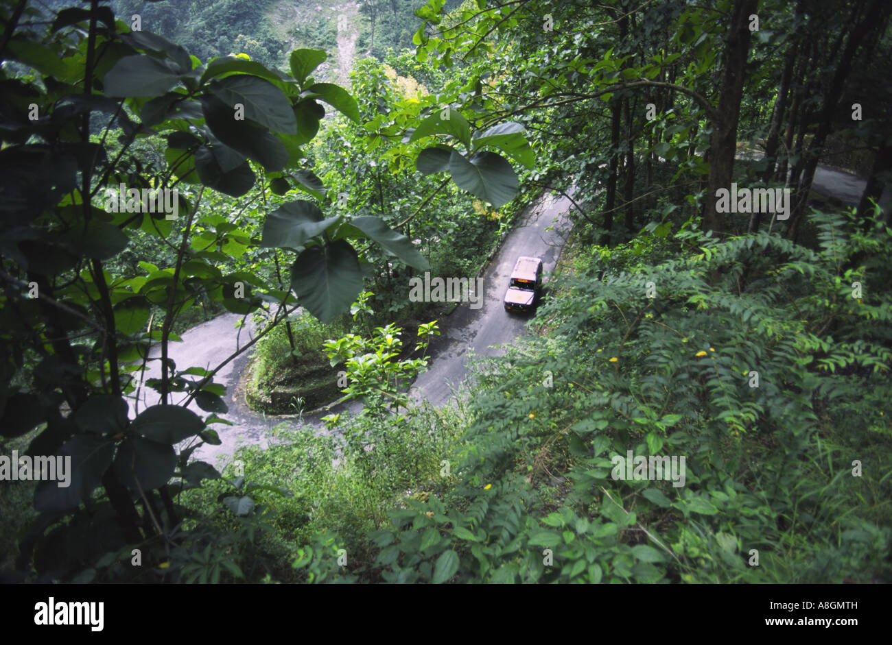 The winding mountain road that runs through the Shiwalik Hills between Darjeeling and Kalimpong.  West Bengal, India Stock Photo