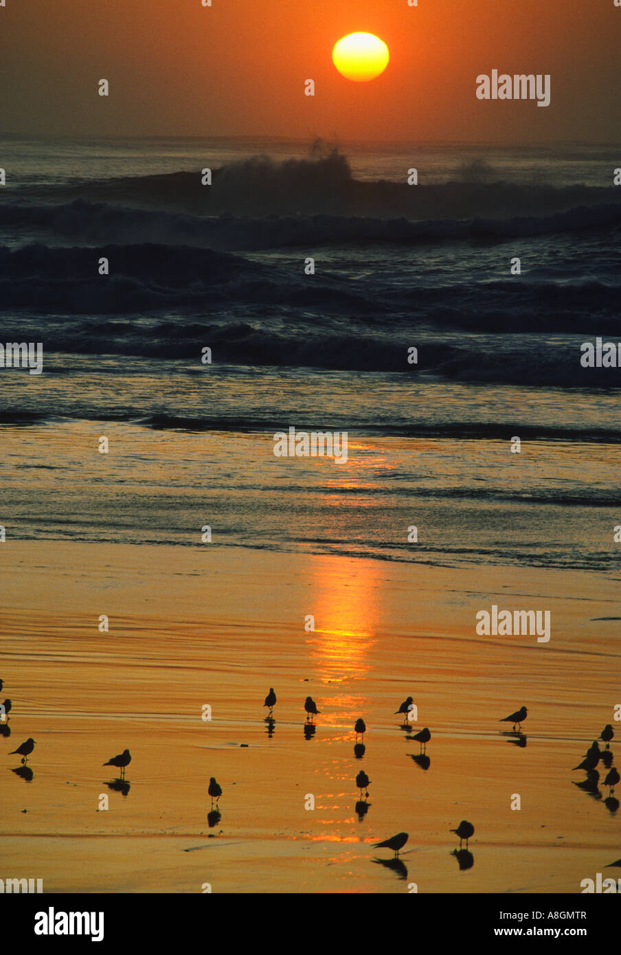 Usa sunset ocean beach hi-res stock photography and images - Alamy
