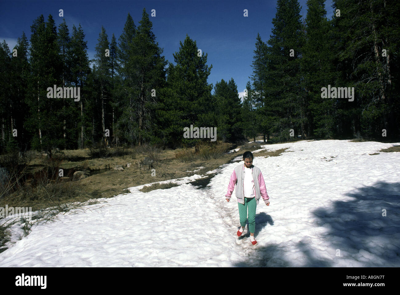 girl 12 years old walking in snow at Donner Memorial State Park California Stock Photo