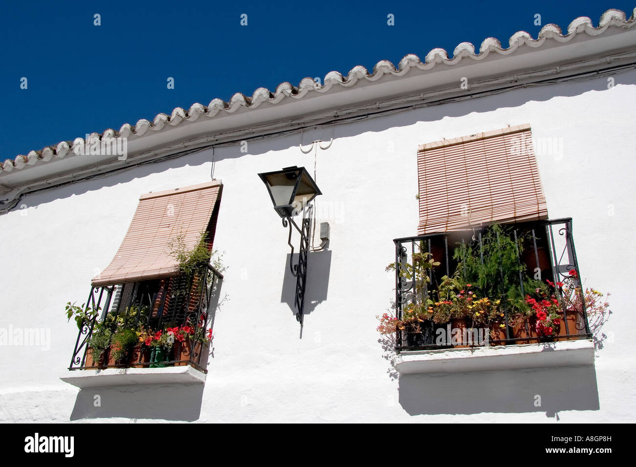 typical windows with flowers in the white town of mijas Malaga coast of
