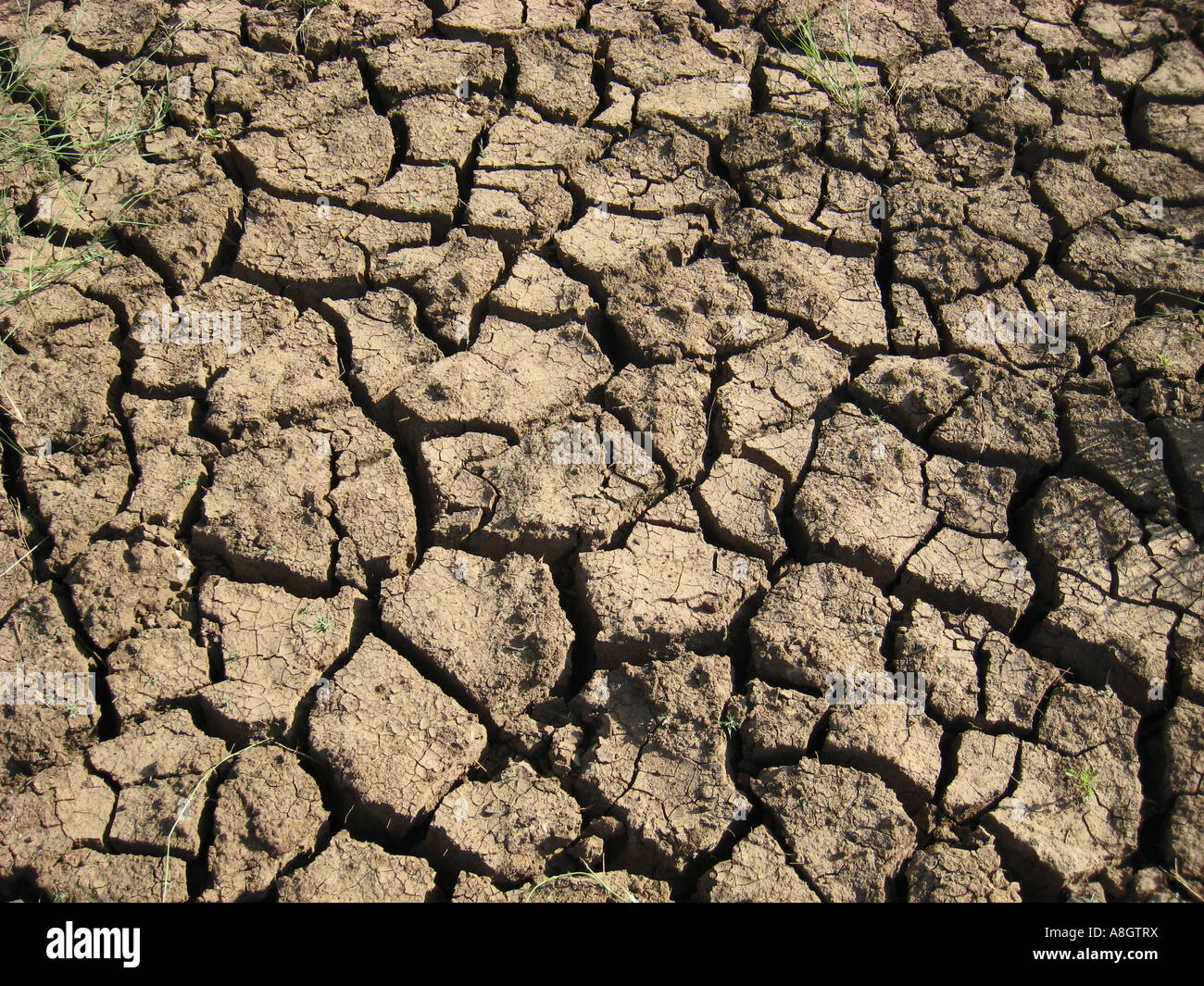 Dry Dry Water Hole - Africa Stock Photo