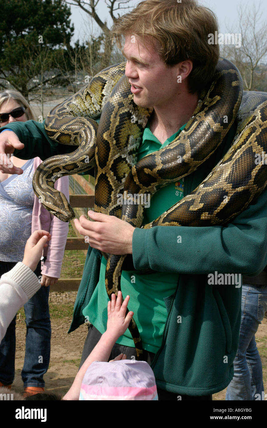 Snake wrapped around neck hi-res stock photography and images - Alamy