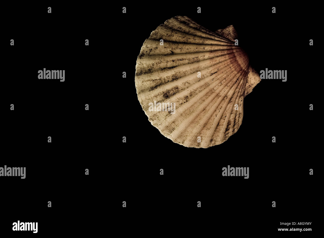 Perfectly black hi-res stock photography and images - Alamy