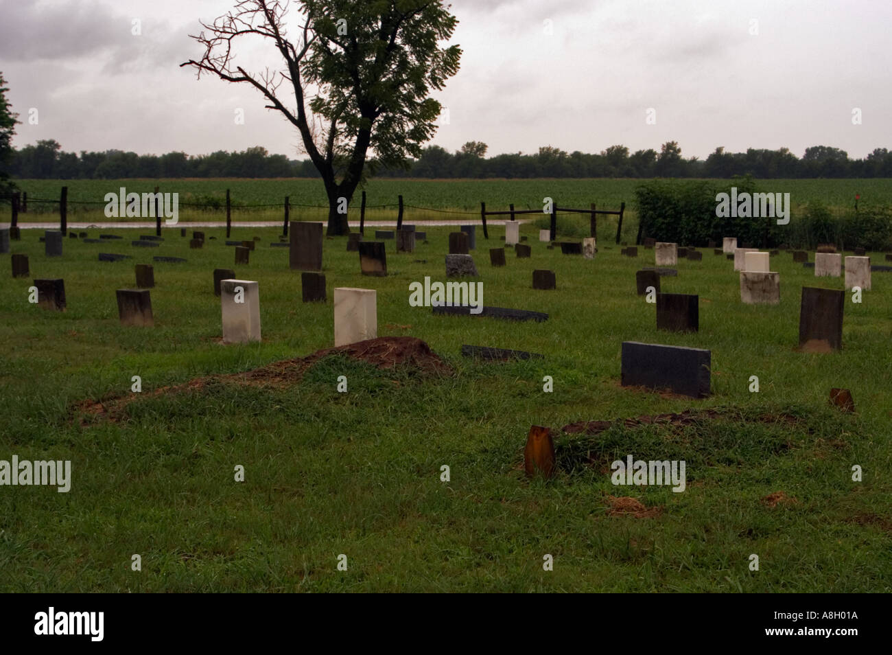 Amish Cemetery Yoder Kansas Stock Photo Alamy