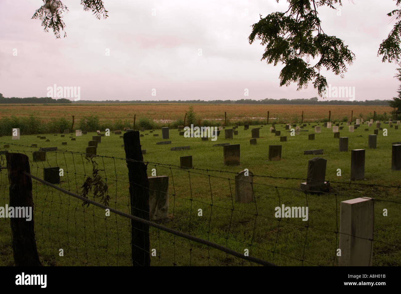 Amish Cemetery Yoder Kansas Stock Photo Alamy
