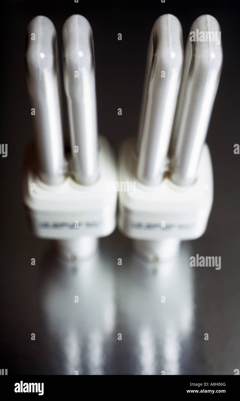 Domestic low energy light bulbs Stock Photo Alamy