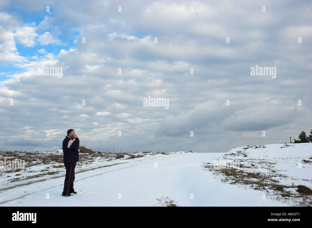 Young man using cell phone Stock Photo