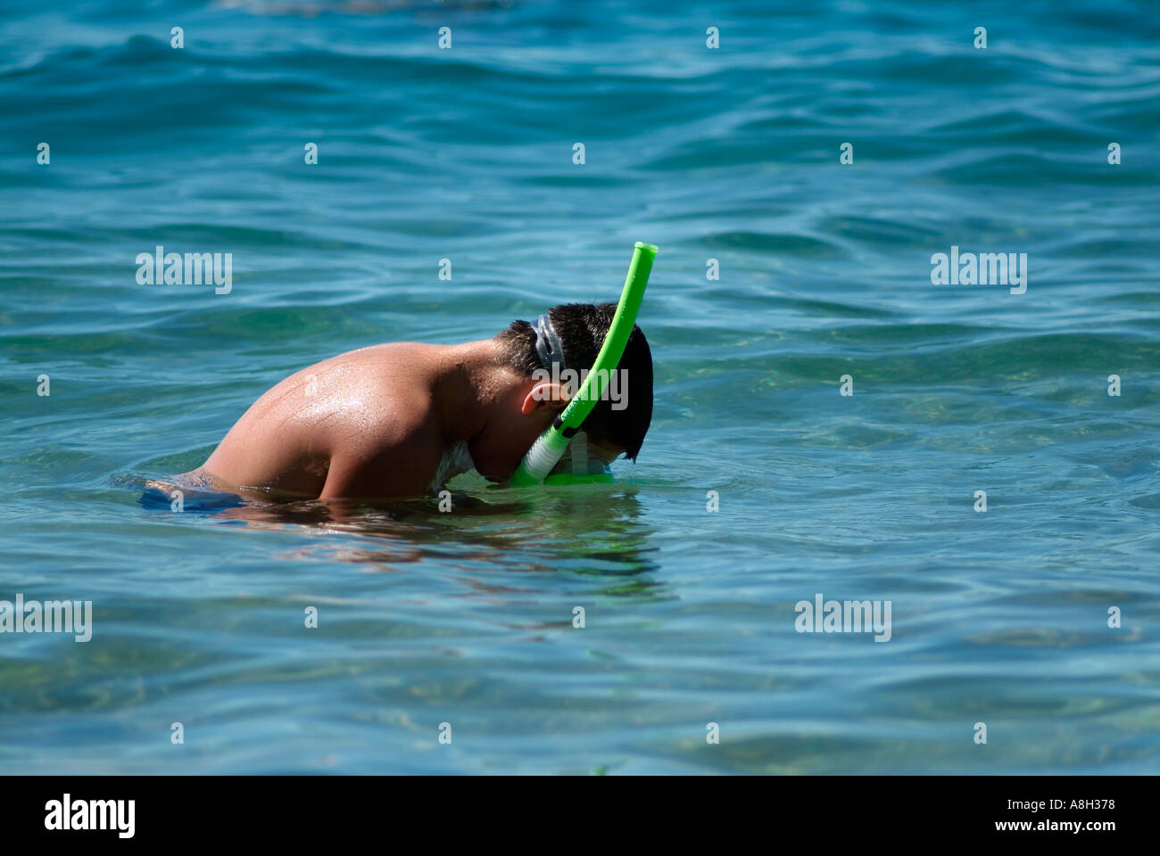Snorkeller in the Adriatic Sea Stock Photo