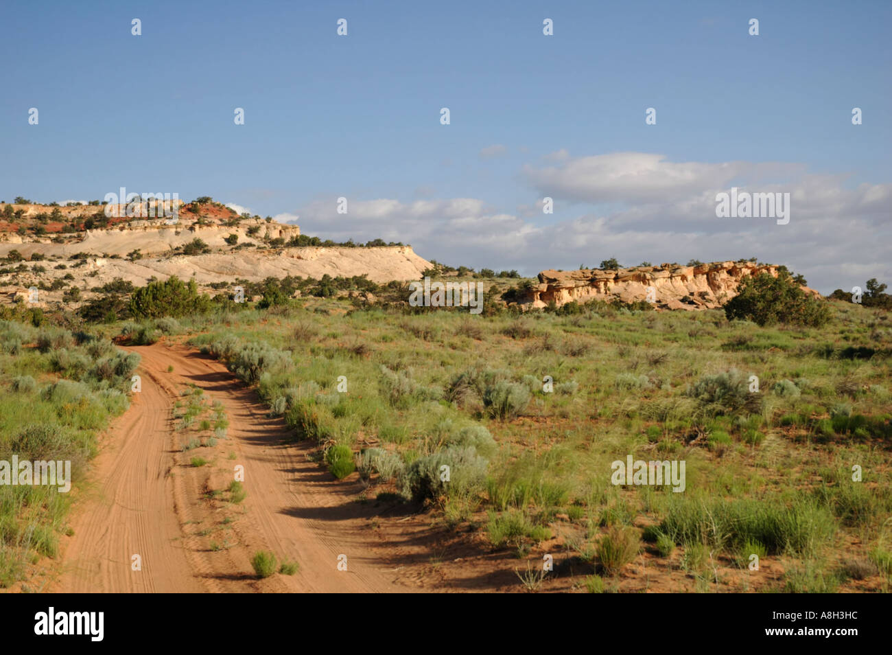 Dirt Road at Little Spencer Flat Stock Photo Alamy