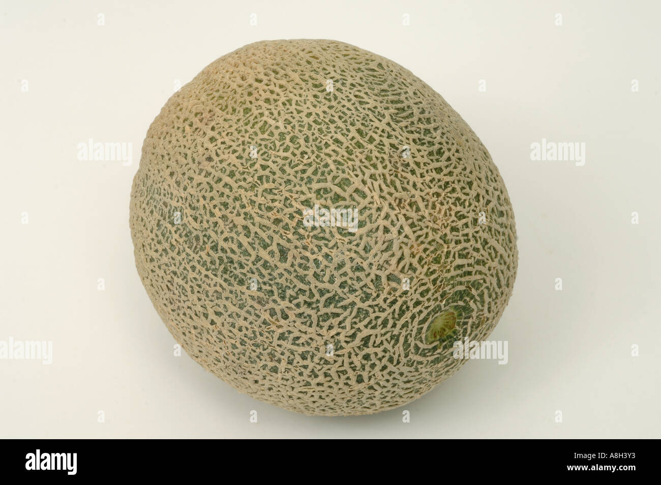 Musk melon supermarket bought and in normal shop condition Stock Photo