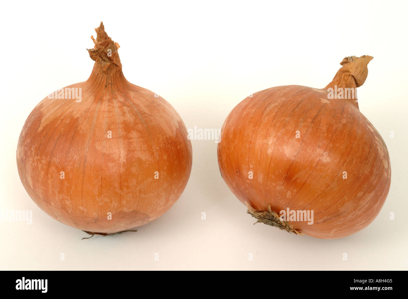 Root vegetable produce typical supermarket bought brown onions Stock Photo