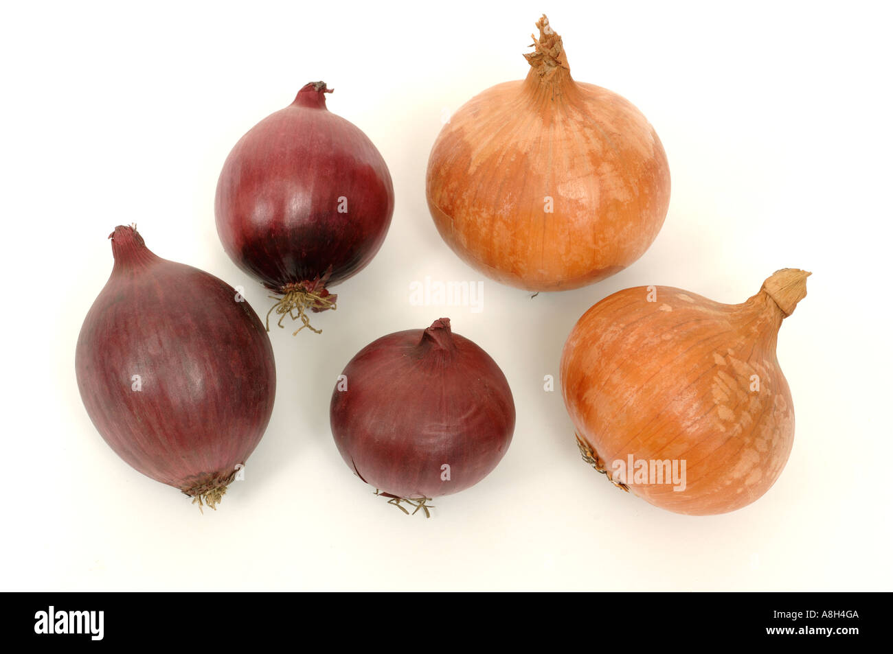 Root vegetable produce typical supermarket bought red Spanish and brown