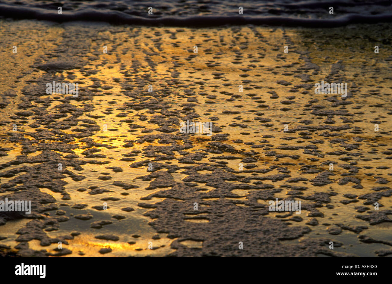 California Beach Reflections Stock Photo