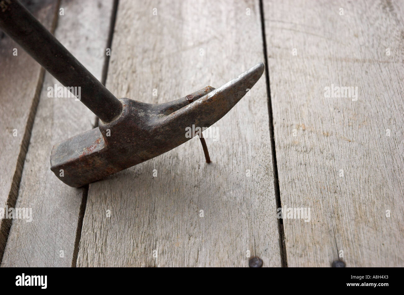 Removing a nail from a board Stock Photo Alamy