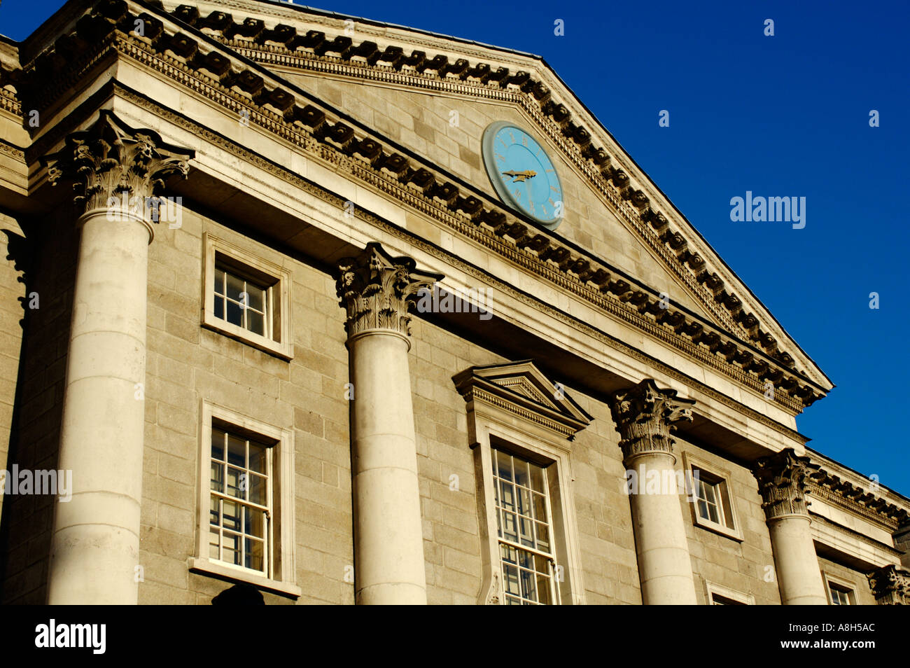 Trinity visual data 6