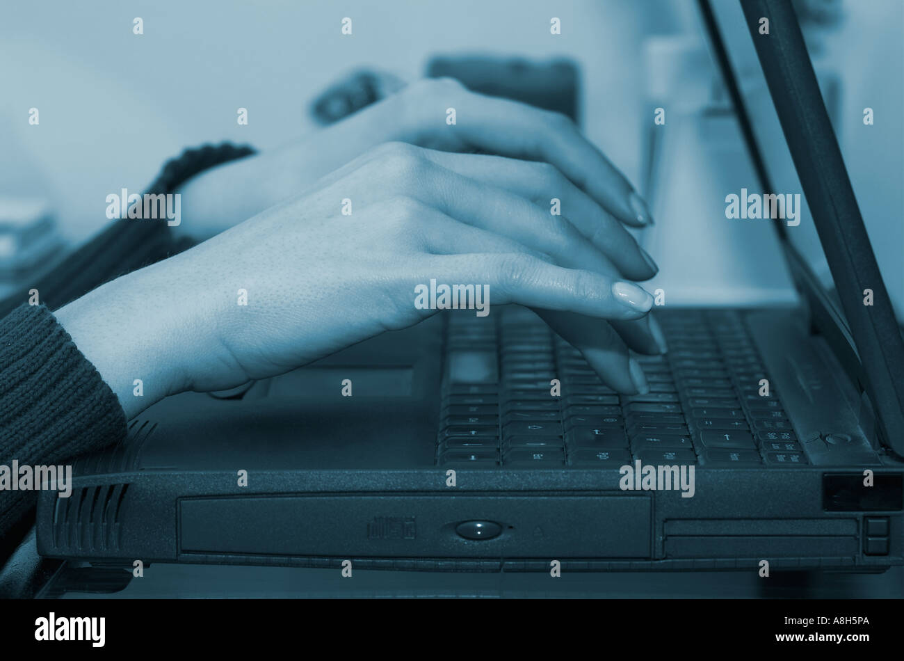 Woman s hands using laptop close up Stock Photo