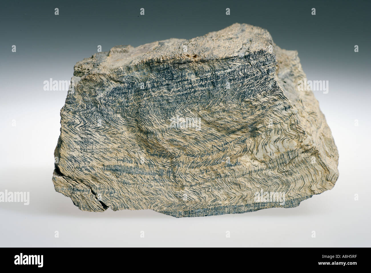 Metamorphic Rock Bisti Badlands New Mexico Stock Photo