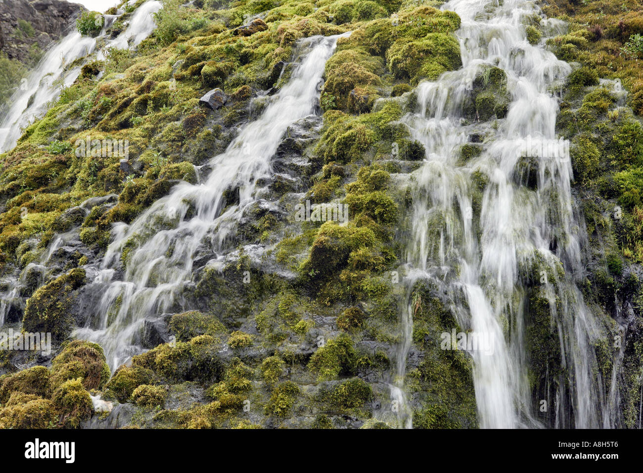 Water Cascading over Moss Iceland Stock Photo