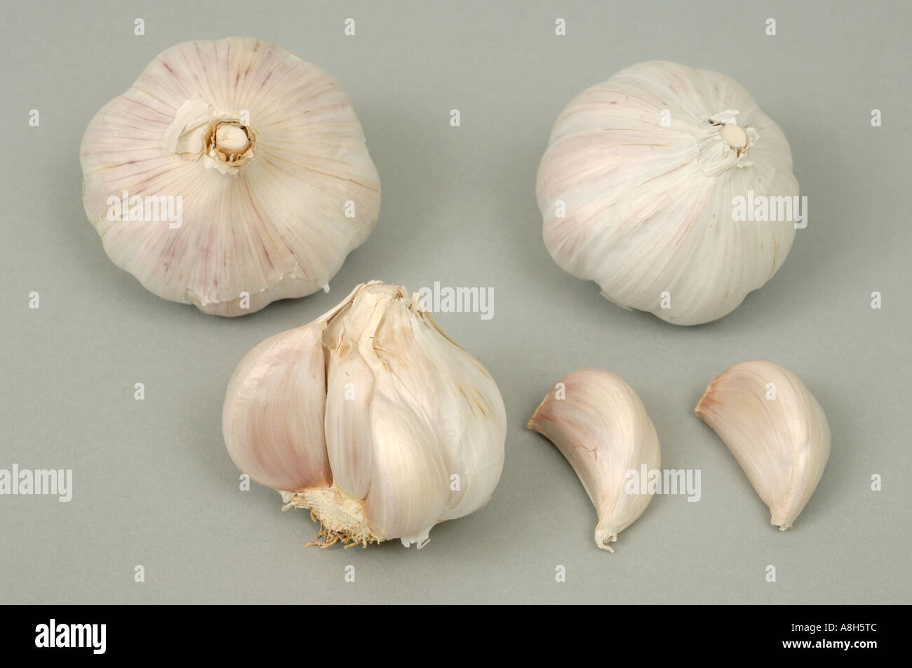 Vegetable produce typical supermarket bought garlic bulb cloves Stock Photo
