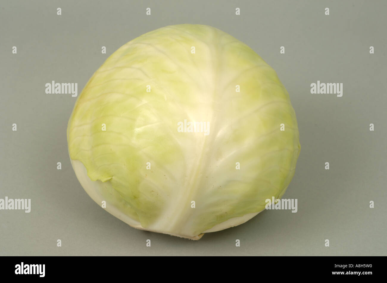 Vegetable produce typical supermarket bought round cabbage head Stock Photo