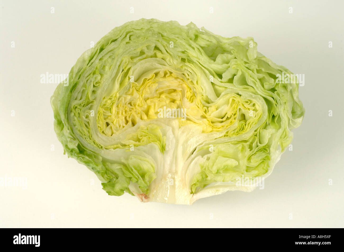 Vegetable produce typical supermarket bought iceberg lettuce cut in
