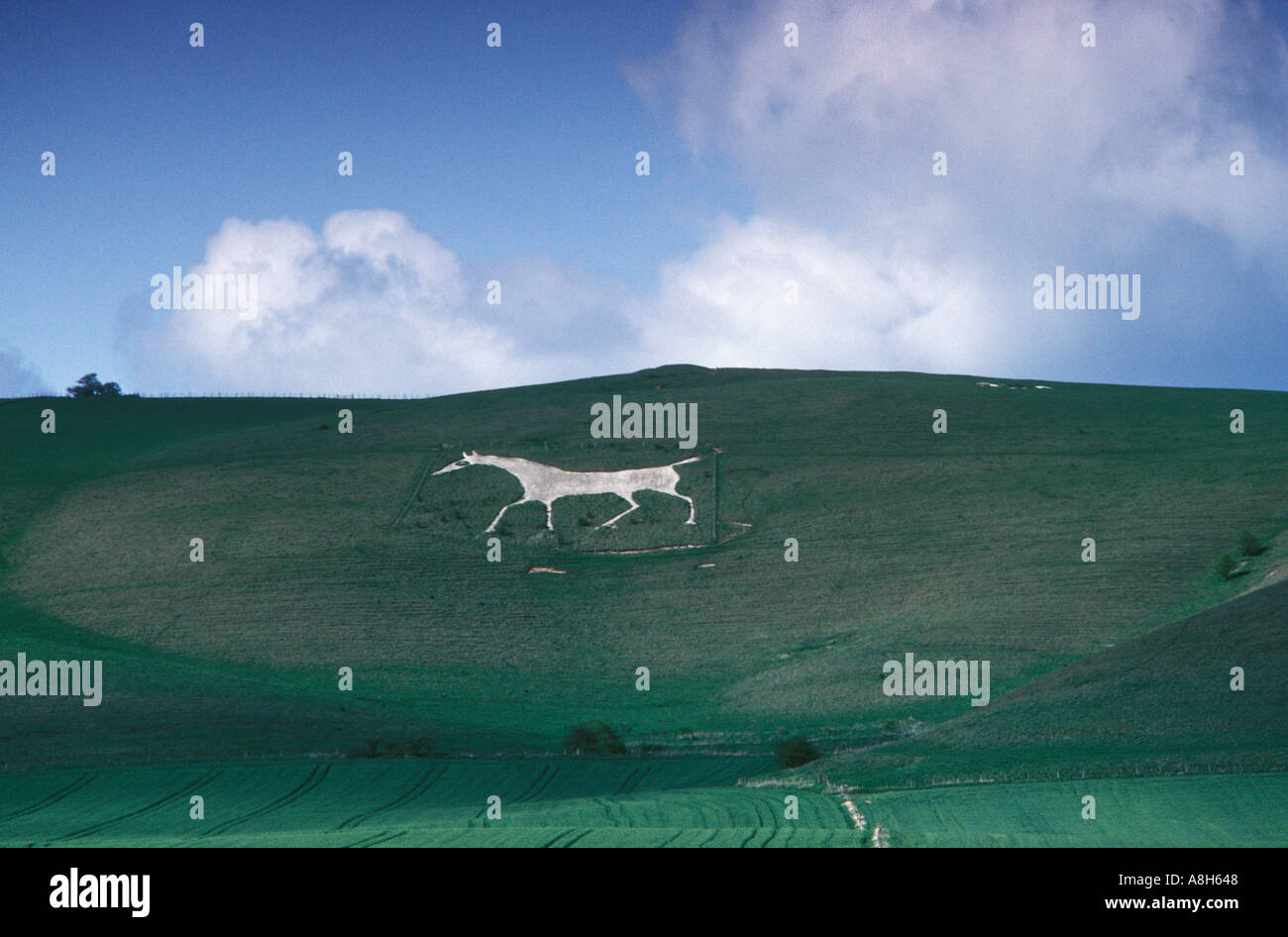 Alton Barnes White Horse, Wiltshire, Wilts, England HOMER SYKES Stock