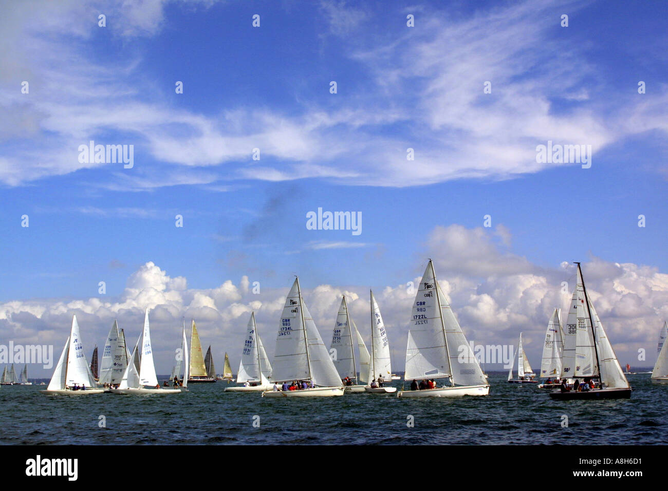 Cowes Week Isle of Wight England UK Stock Photo Alamy