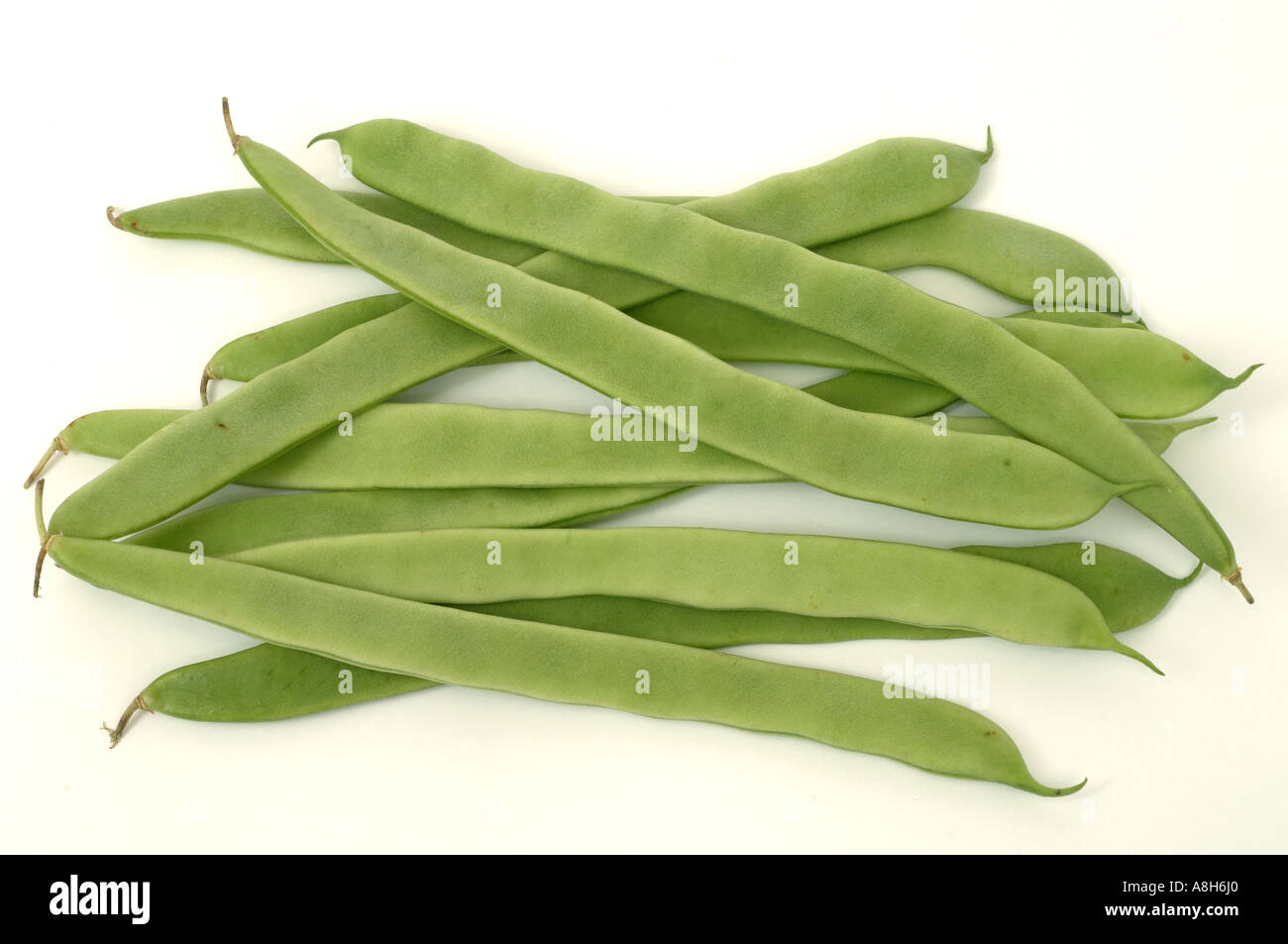 Vegetable produce typical supermarket bought flat or green beans Stock Photo