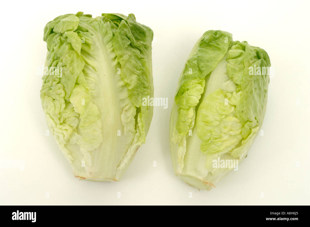 Vegetable produce typical supermarket bought Little Gem lettuces Stock Photo