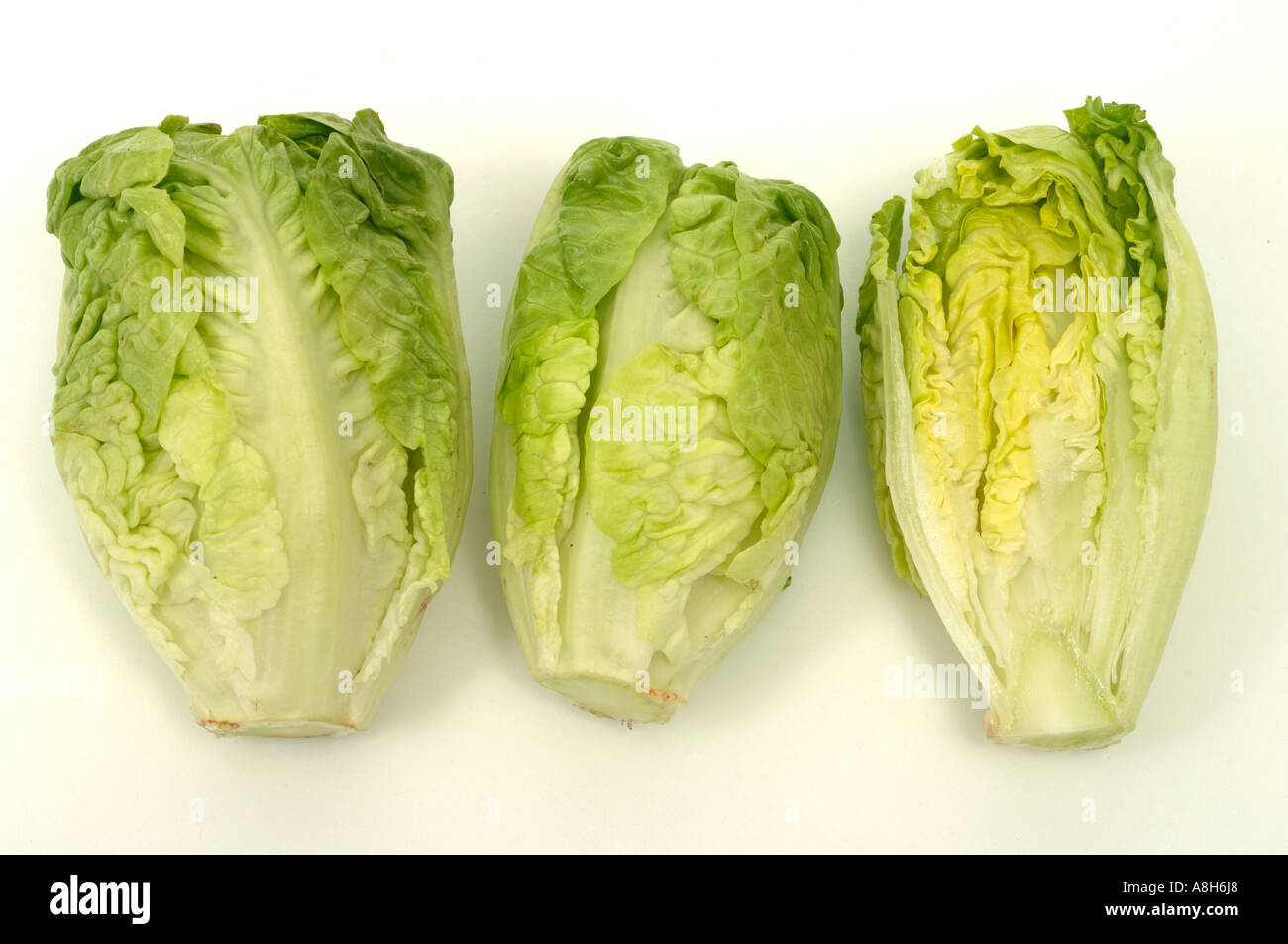 Vegetable produce typical supermarket bought Little Gem lettuces Stock Photo
