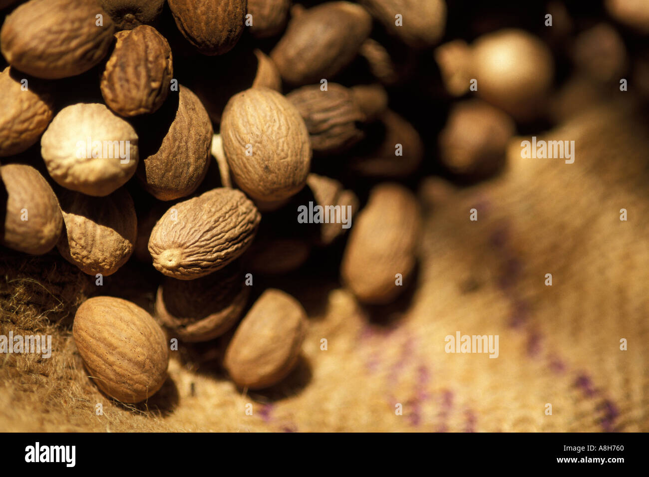 Nutty flavor spice hires stock photography and images Alamy