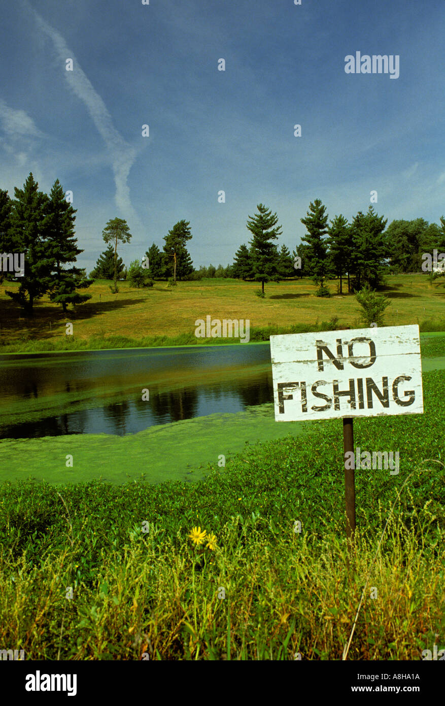 No fishing signs hi-res stock photography and images - Page 4 - Alamy