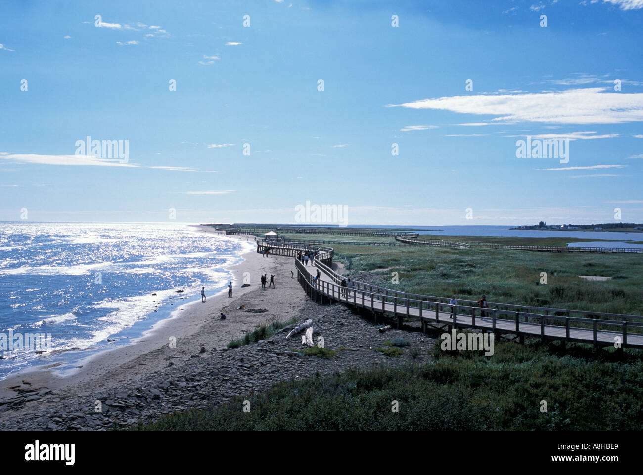 Dunes de Bouctouche New Brunswick Canada Stock Photo Alamy