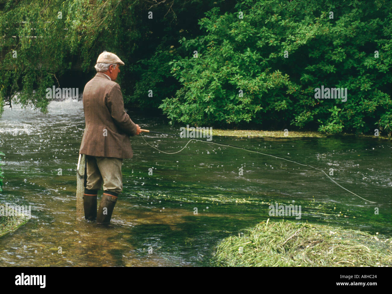 Fly Fishing on the River Test Hampshire Southern England UK Stock Photo -  Alamy