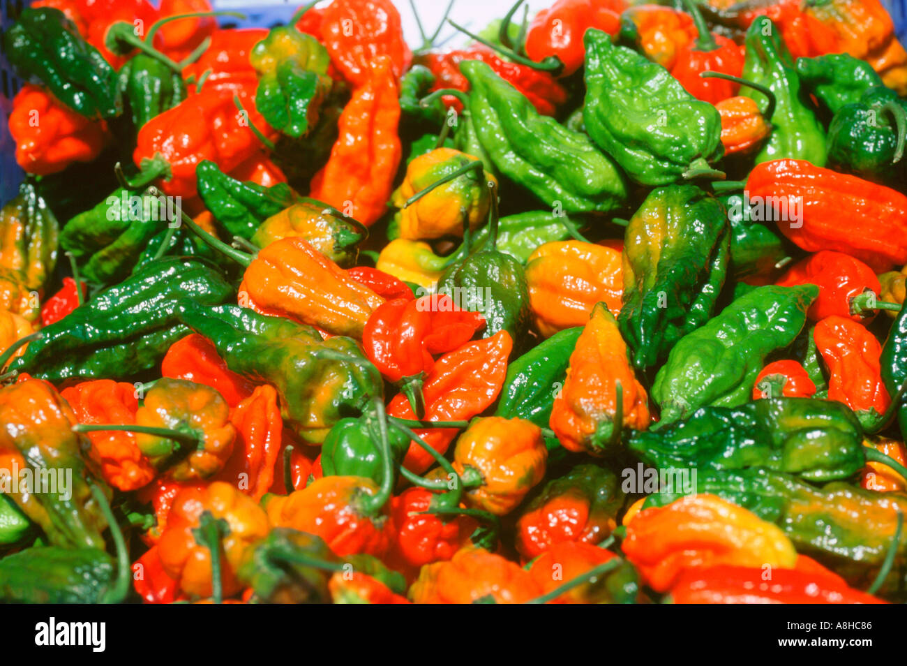 A mixture of chilli peppers Stock Photo
