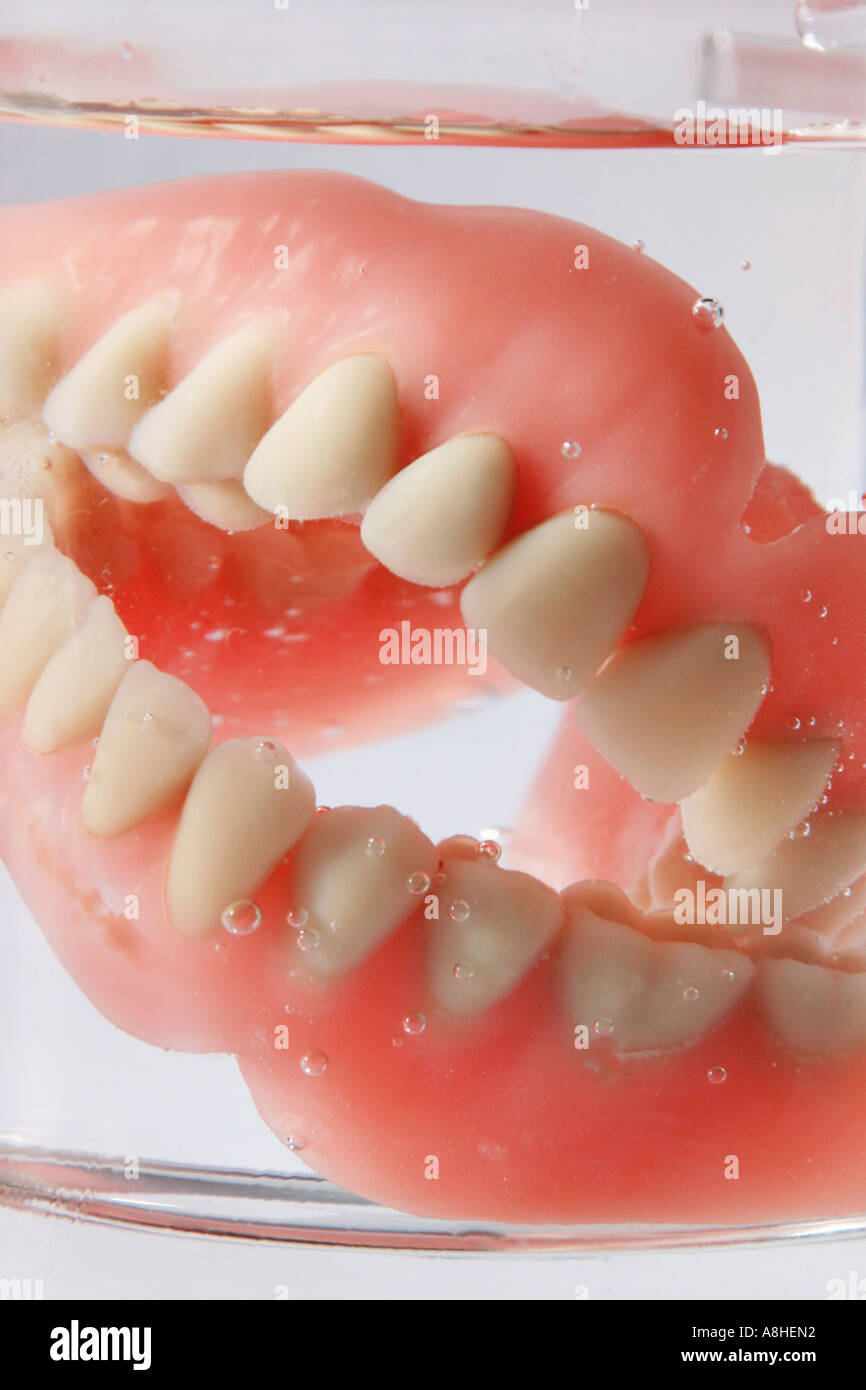 Artificial dentures in a water glass Stock Photo