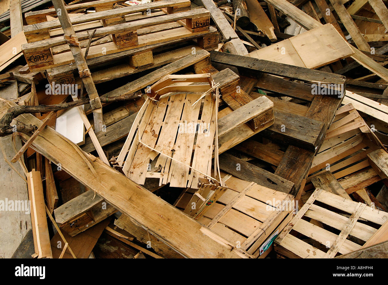 Garbage Check Check garbage hi-res stock photography and images - Alamy