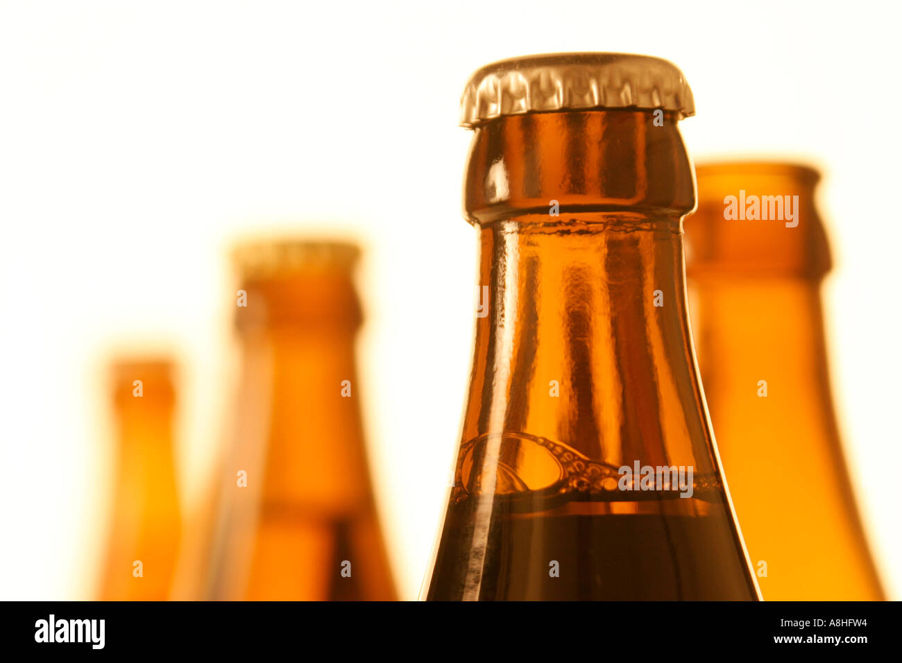 Beer bottles Stock Photo Alamy