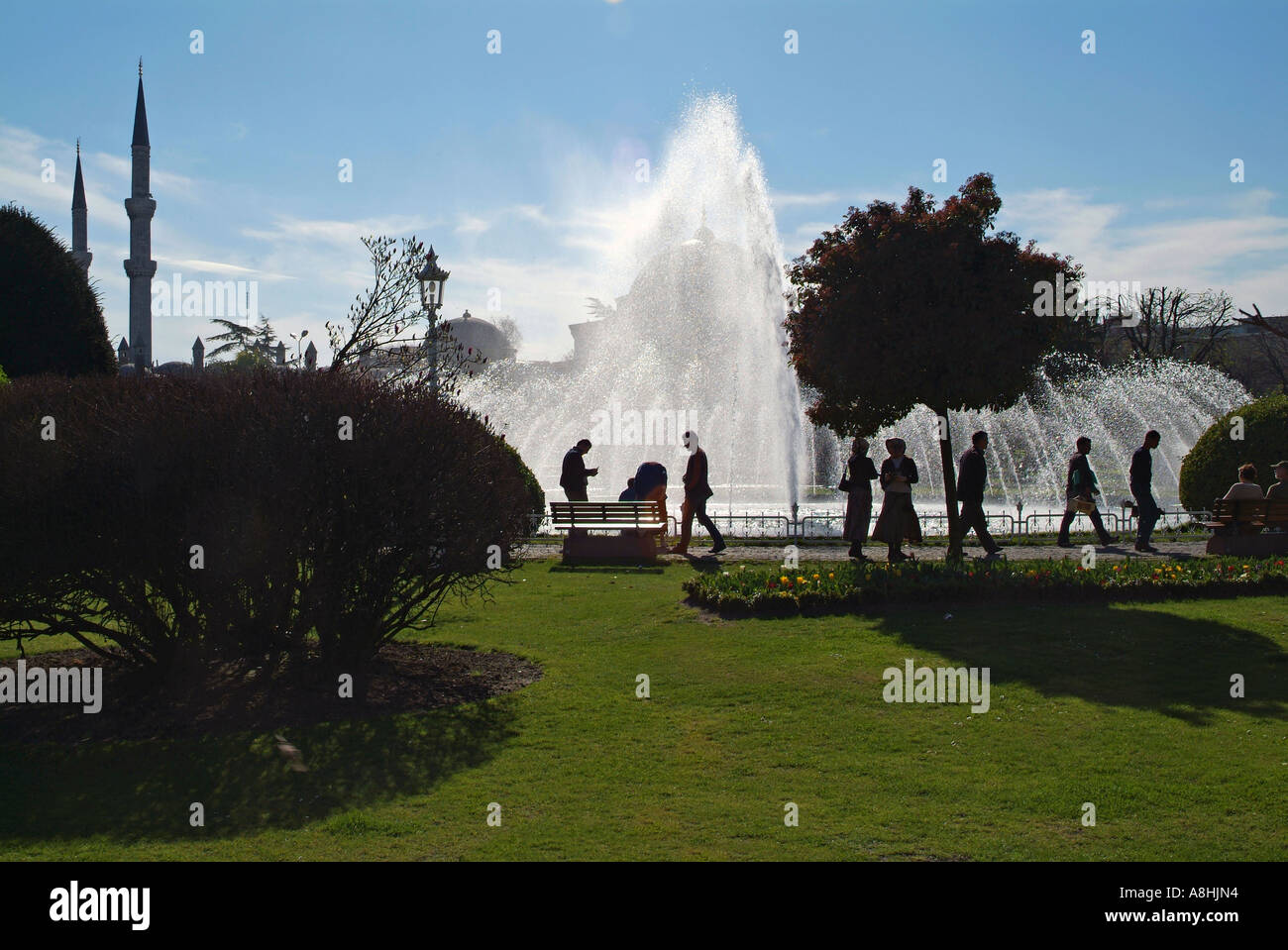 Sultanahmet The Blue Mosque silhouetted and viewed through a fountain ...