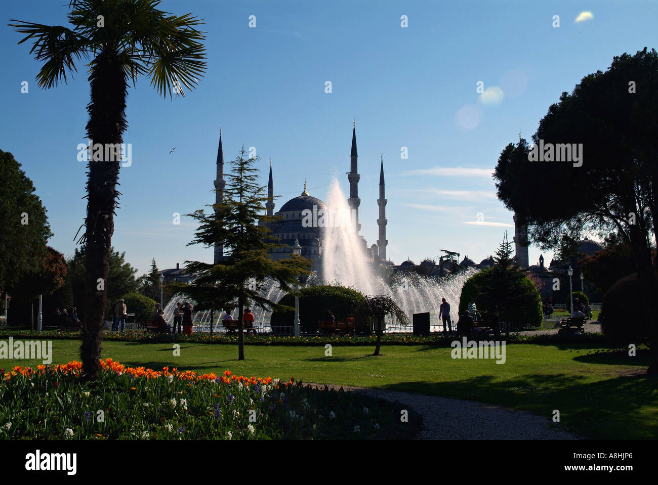 Sultanahmet The Blue Mosque silhouetted and viewed through a fountain ...