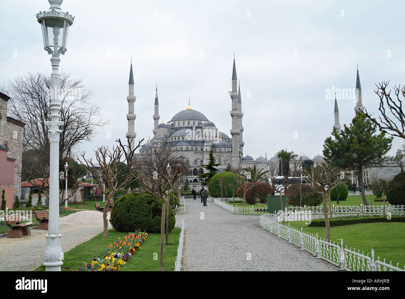 Sultanahmet The Blue Mosque viewed from adjacent gardens Istanbul ...