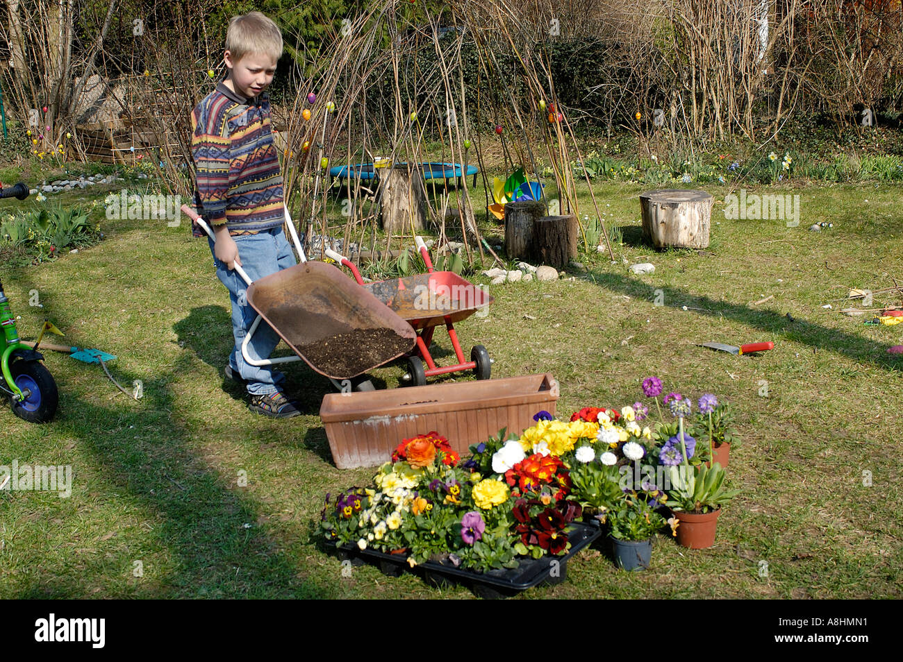 Garden wheelbarrows with flowers hi res stock photography and