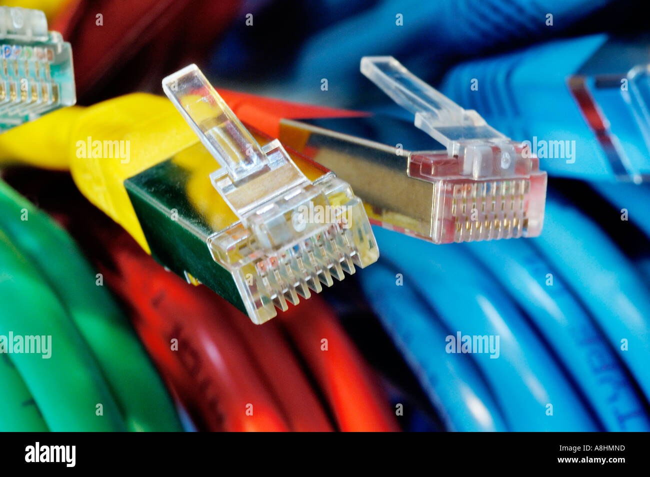 Two plugs of a coloured network cables for computer Stock Photo Alamy