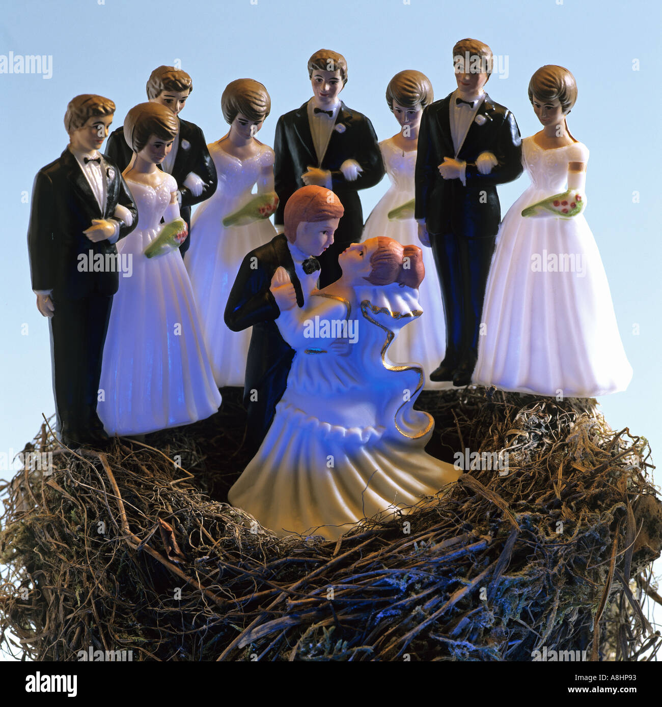 BRIDE AND GROOM FIGURINES DANCING IN A BLACKBIRD NEST AND 4 COUPLES AROUND Stock Photo