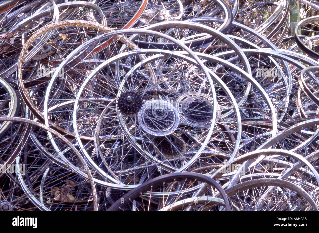 old bike rims